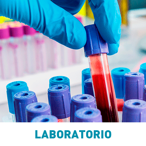 Servicio_Radiologia_digital